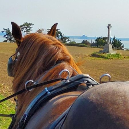 Chez Jollyjune Ferme Equestre des Courlis, à moins d'une heure du Mont Saint-Michel Champeaux Exterior foto