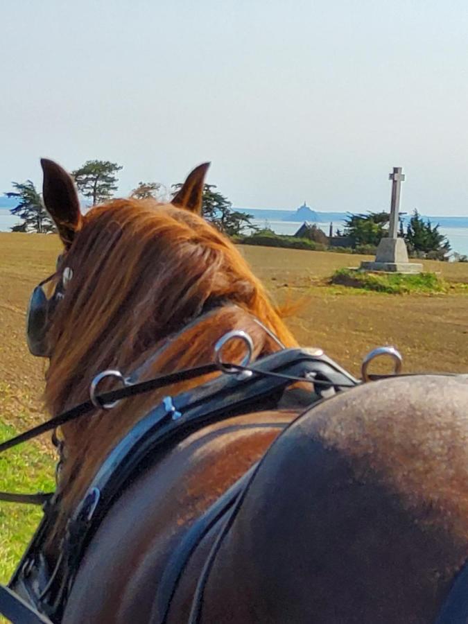 Chez Jollyjune Ferme Equestre des Courlis, à moins d'une heure du Mont Saint-Michel Champeaux Exterior foto