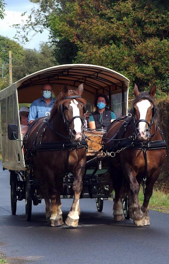 Chez Jollyjune Ferme Equestre des Courlis, à moins d'une heure du Mont Saint-Michel Champeaux Exterior foto