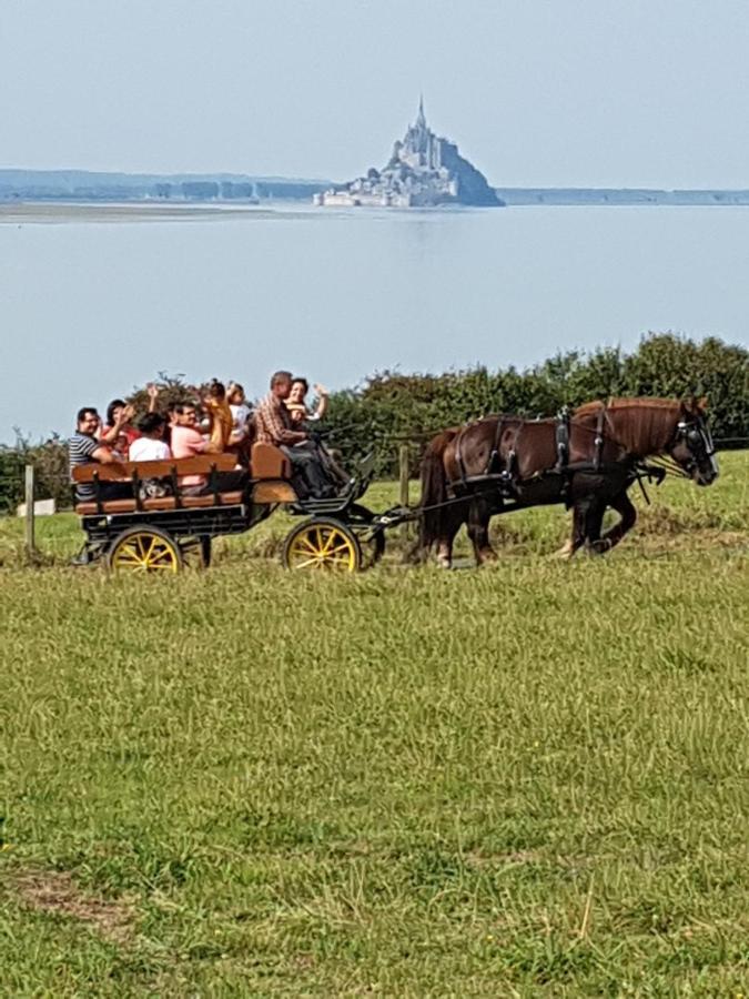 Chez Jollyjune Ferme Equestre des Courlis, à moins d'une heure du Mont Saint-Michel Champeaux Exterior foto